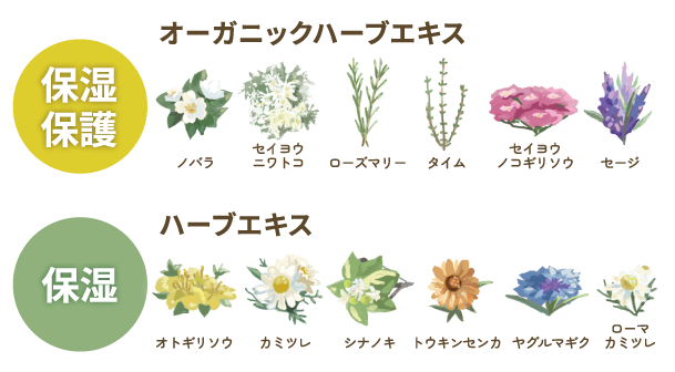 ナシードオーガニックカラー