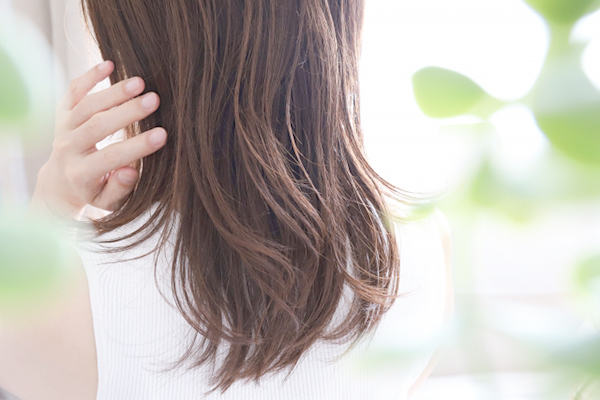 メニュー・料金